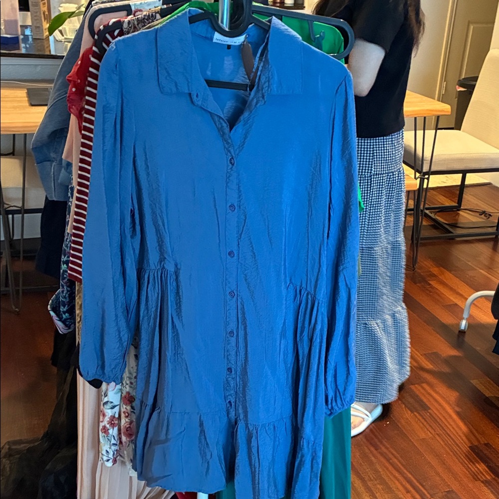 Blue Button-Front Long Sleeve Dress Top
